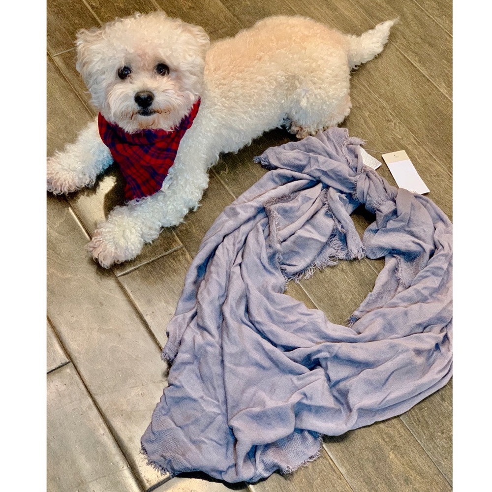 Nordstrom Rack gray fringed scarf 🧣 🍂🍁